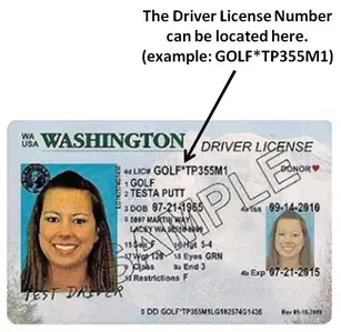 Check Driver License Status Wa